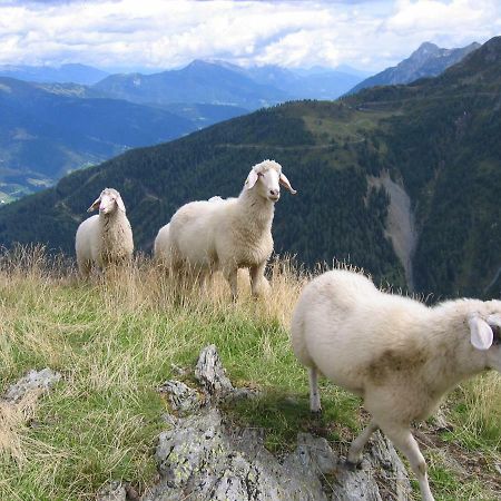 Pension Wilhelmer Sankt Lorenzen im Lesachtal المظهر الخارجي الصورة
