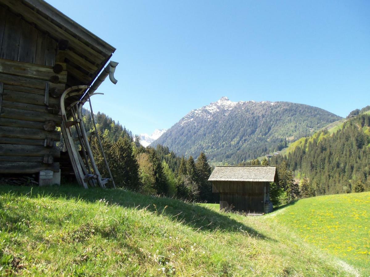 Pension Wilhelmer Sankt Lorenzen im Lesachtal المظهر الخارجي الصورة