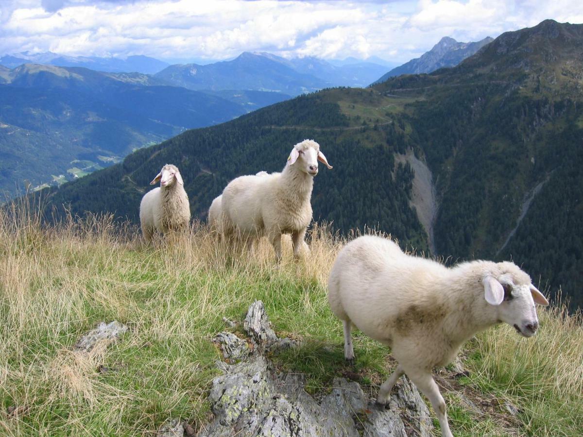 Pension Wilhelmer Sankt Lorenzen im Lesachtal المظهر الخارجي الصورة